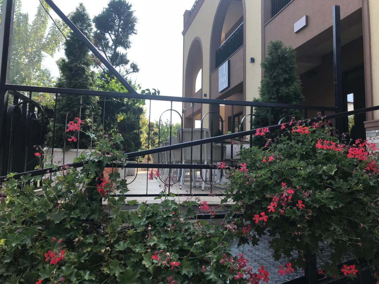 אלכסנדריה Hotel Edma מראה חיצוני תמונה